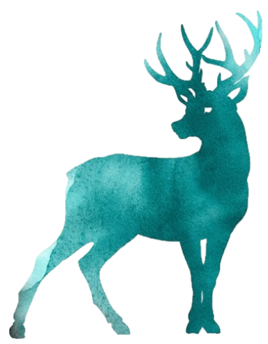 Teal deer! I'm so funny